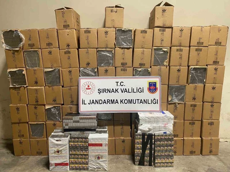 Şırnak’ta 48 bin 900 paket gümrük kaçağı sigara ele geçirildi
