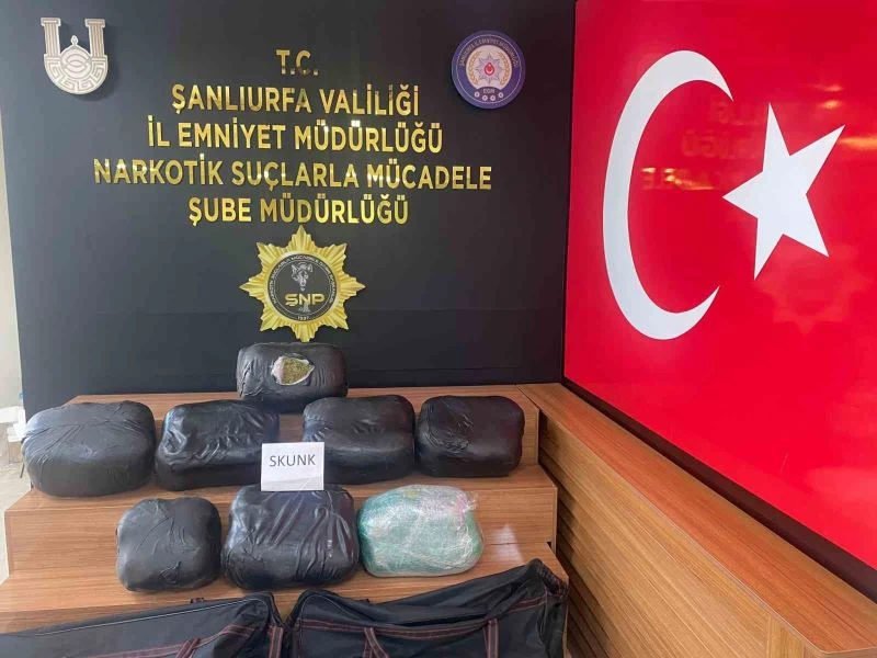 Şanlıurfa’da 32 kilogram skunk ele geçirildi: 2 gözaltı
