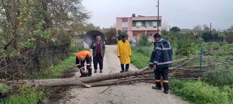 Kuvvetli rüzgar Kozan’da ağaçları devirdi
