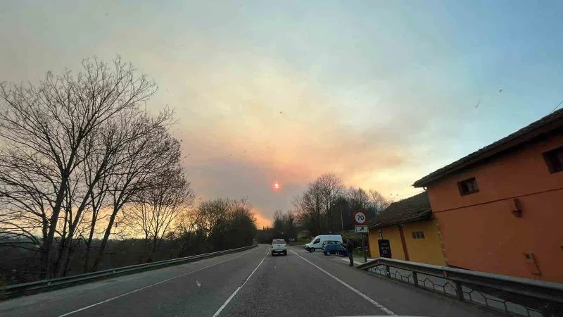 İspanya’nın Asturias bölgesinde 60’tan fazla orman yangını
