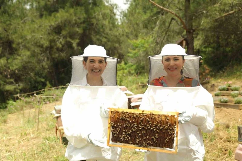 Anadolu arı ürünlerinin bağırsak sağlığının korunmasına etkisi
