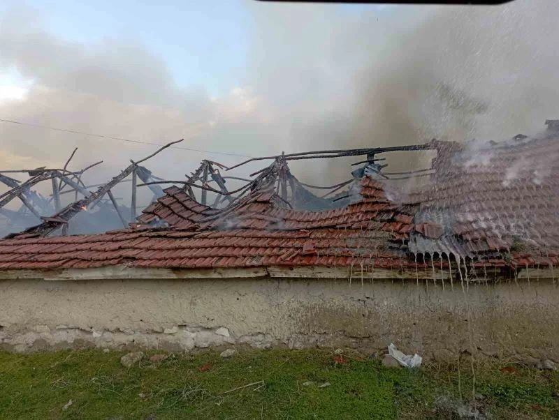 Yangında 300’e yakın saman balyası yandı
