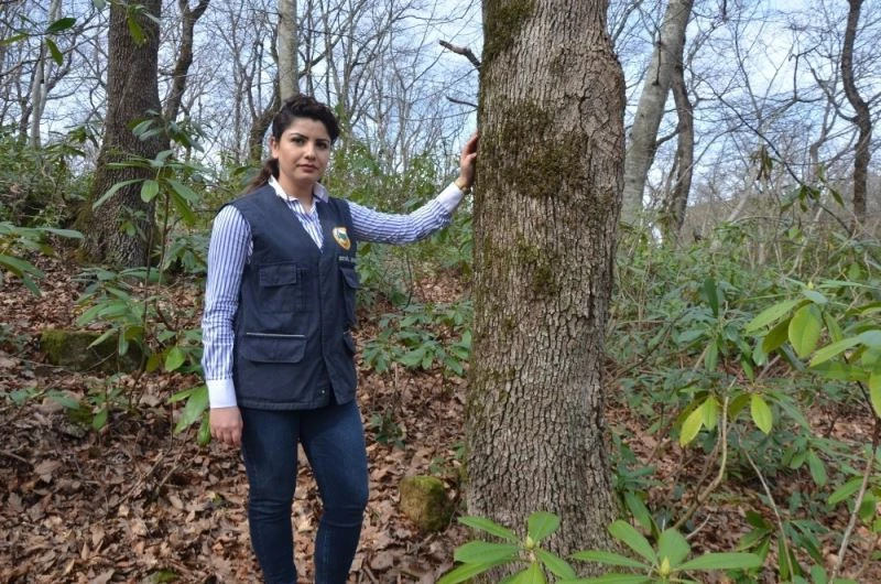 Fatsa Orman İşletme Şefi Sevil Şen, Ankara’ya atandı
