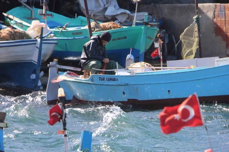 Hamsi sezonu kapattı, vatandaş istavrit ve mezgite yöneldi
