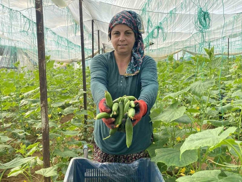 Antalyalı üretici kadınlar, Kadınlar Günü’nü serada ürün toplayarak geçirdi
