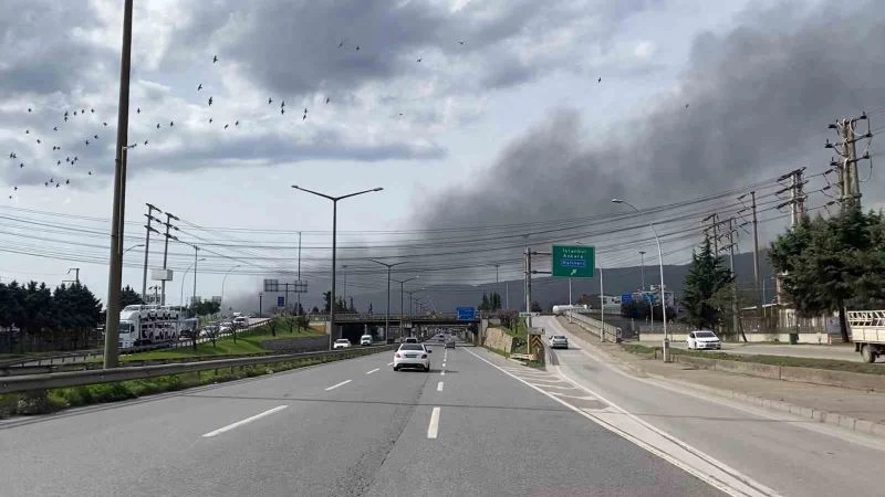 Kocaeli’de fabrikada çıkan yangın korkuttu
