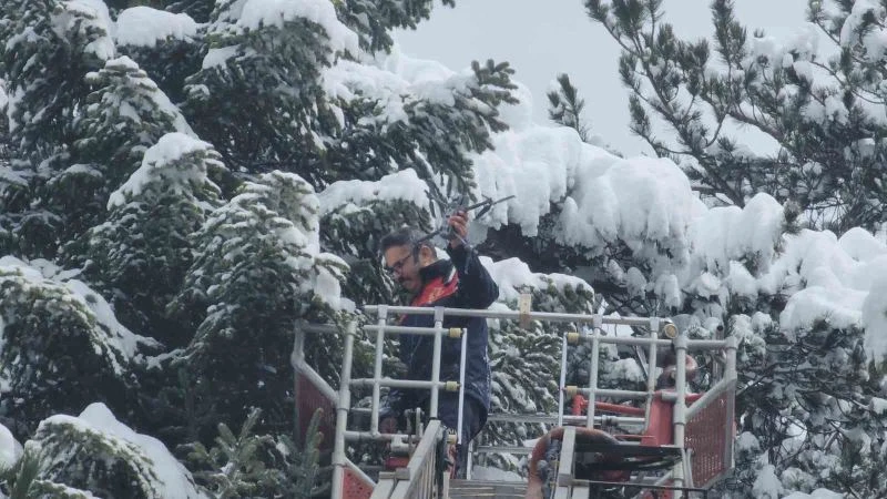 İtfaiye bu kez ağaca takılı kalan dronu kurtarmak için seferber oldu
