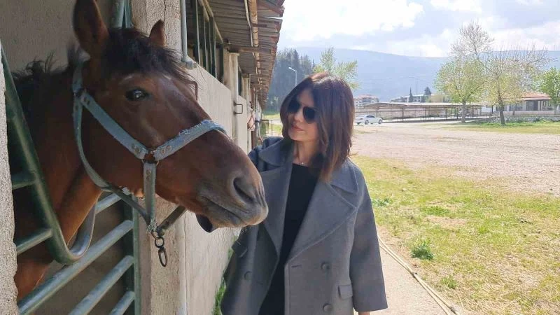 Tire Belediyesinin satışa çıkardığı atlar emin ellerde
