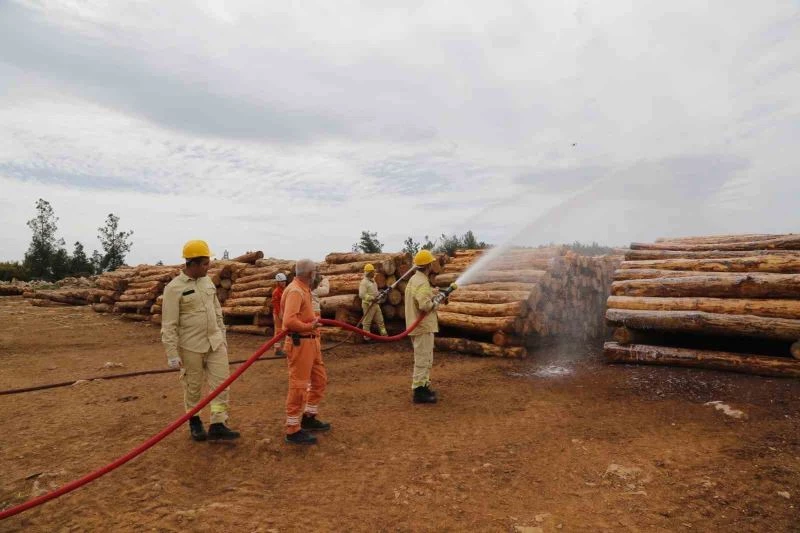 Milas Orman İşletme Müdürlüğü’nde İşbaşı Eğitimi yapıldı
