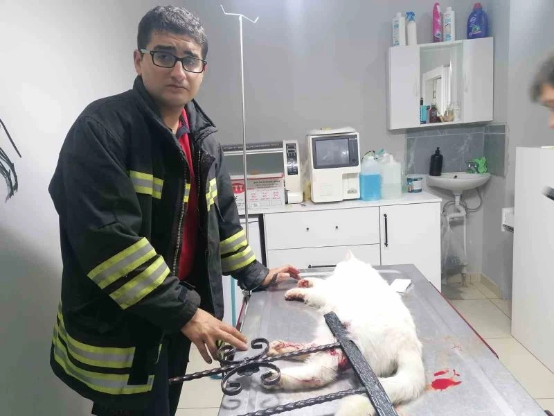 İtfaiye kurtardığı kediyi veteriner kliniğine götürdü
