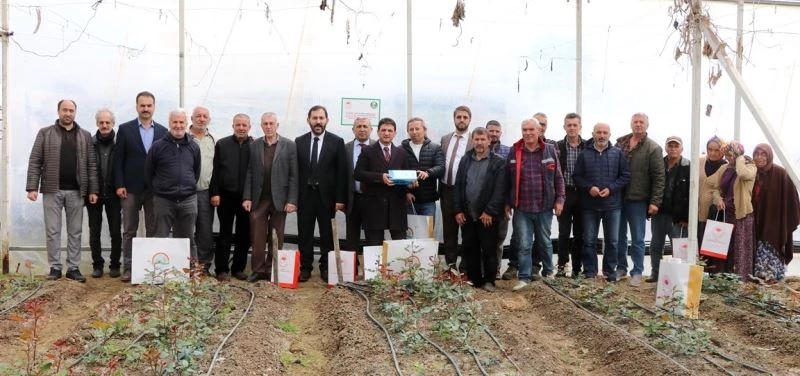 Yalova’da kesme gül zararlısına karşı mavi yapışkan tuzak dağıtıldı
