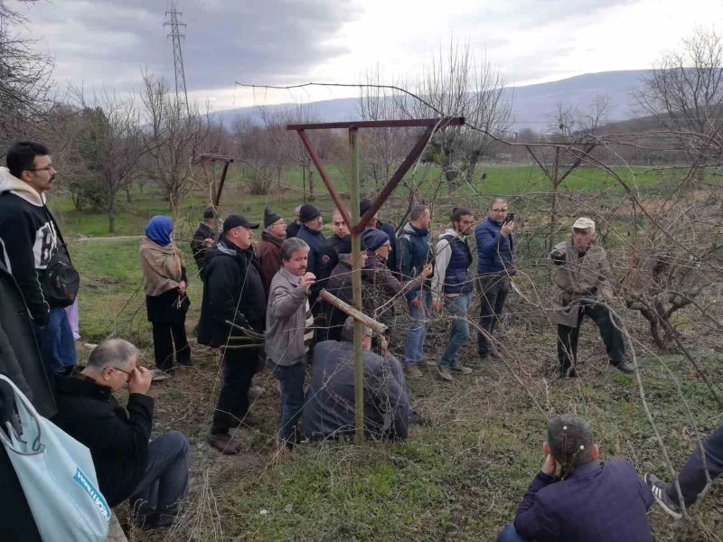 Çiftçilere meyve ağacı aşılama ve budama eğitimi
