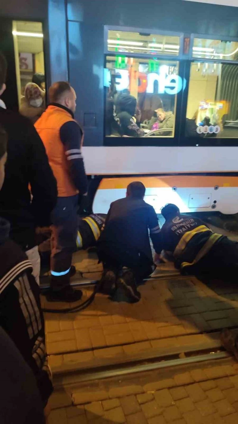 Eskişehir’de iki köpek tramvay altında kaldı
