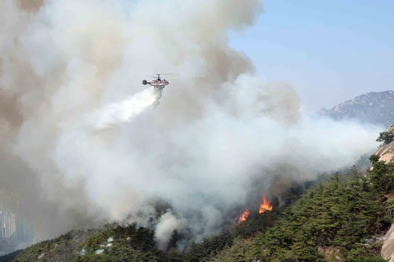 Güney Kore’nin başkentinde orman yangını: 120 ev tahliye edildi
