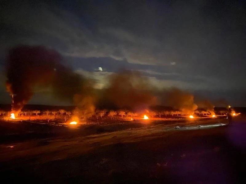 Şanlıurfa’da çiftçiler don olayına karşı ağaçlarını ateş yakarak korudu
