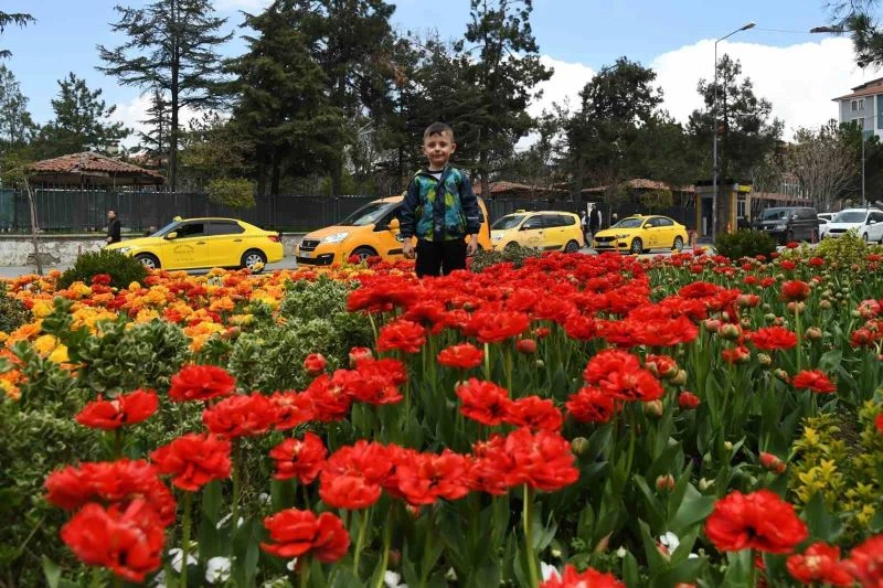 Isparta’da ilkbaharın renkli havası çiçeklere yansıyor
