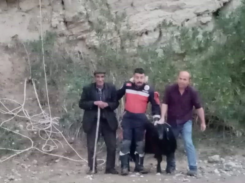 Keçinin mahsur kaldığı yer pes dedirtti
