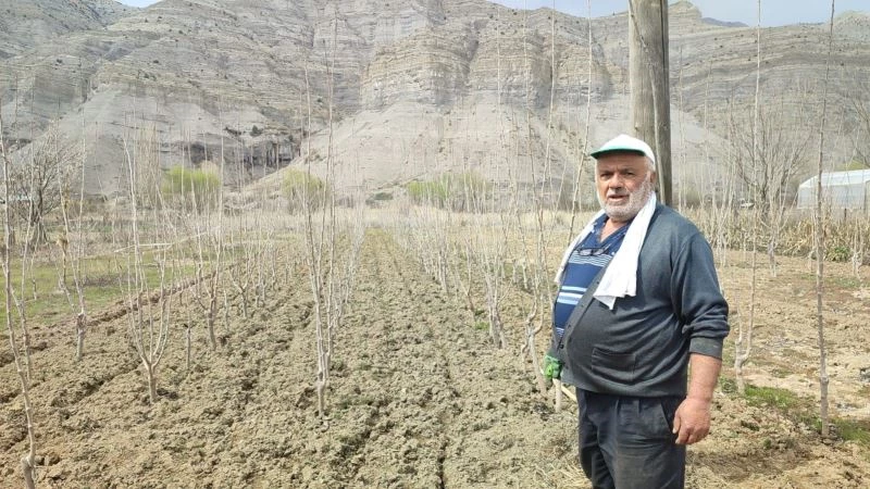 Tek başına bin 500 fidan yetiştiriyor
