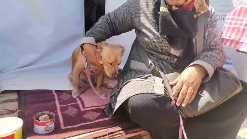Kahramanmaraş’ta depremde kendisini kurtaran köpeğiyle beraber çadır kentte yaşamını sürdürüyor
