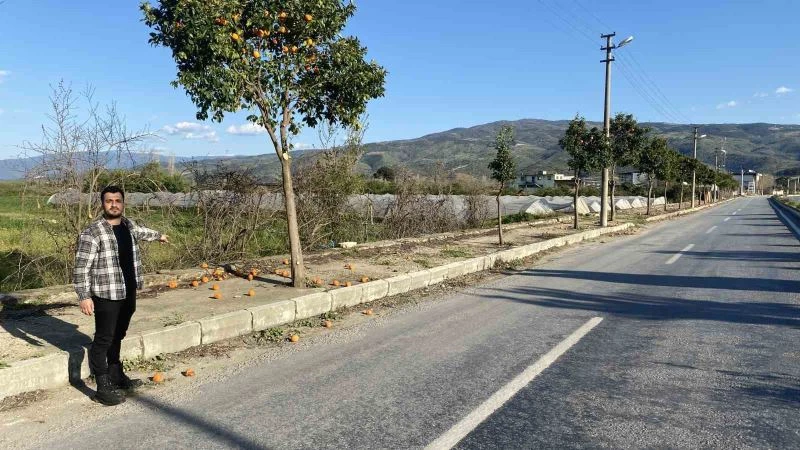 Pidelerin vazgeçilmezi turunçlar sokağa döküldü
