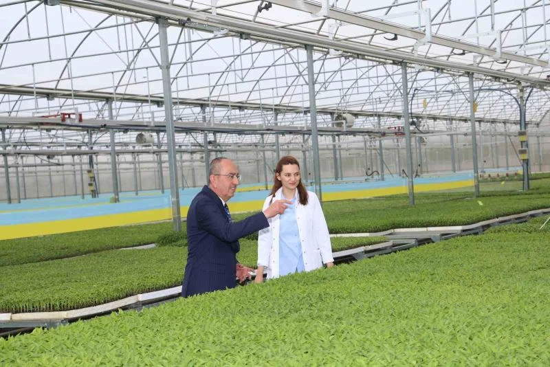 Konya’nın ilk ve tek sebze fidesi üretim merkezinde satışlar başladı
