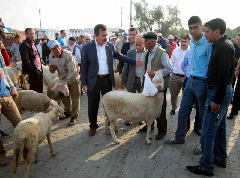 Hayvan hareketleri kısıtlaması 28 Nisan’da kaldırılacak
