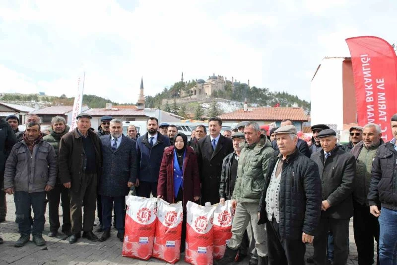 Seyitgazi’de 3 bin 240 dekar tarla ayçiçeği ile renklenecek
