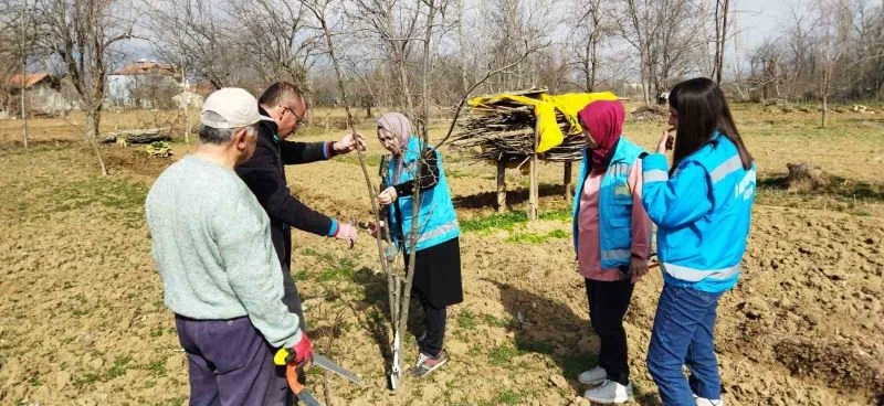 Hisarcık’ta çiftçilere meyve ağaçlarında budama teknikleri eğitimi
