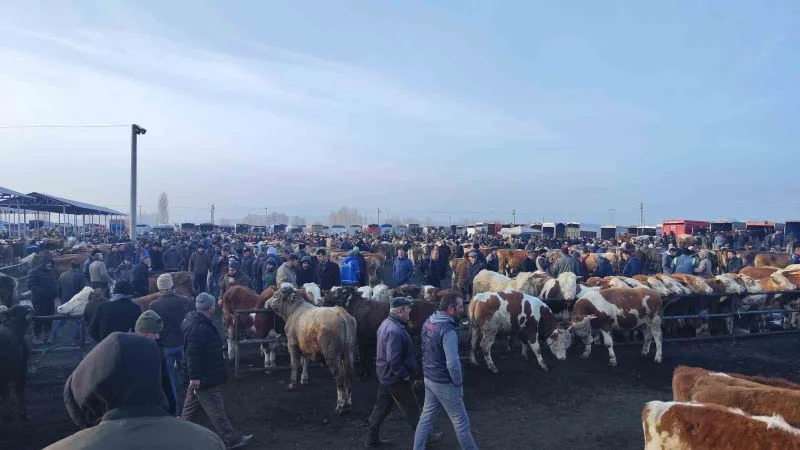 Şap tehlikesiyle kapatılmıştı, açılmasına günler kaldı
