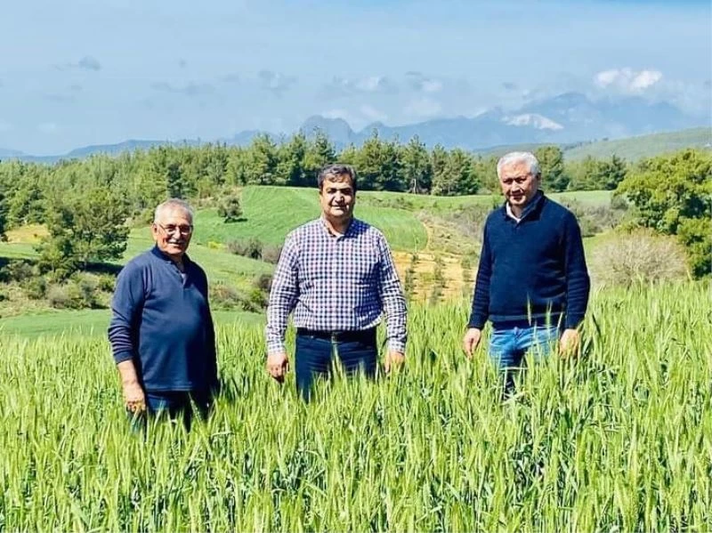 110 bin dekar hububat ekili alanda 50 bin ton buğday ve arpa rekoltesi bekleniyor
