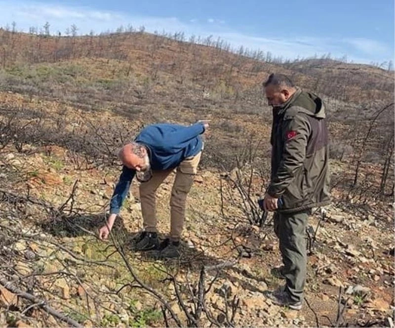 Datça’daki yangın sahasında incelemelerde bulunuldu
