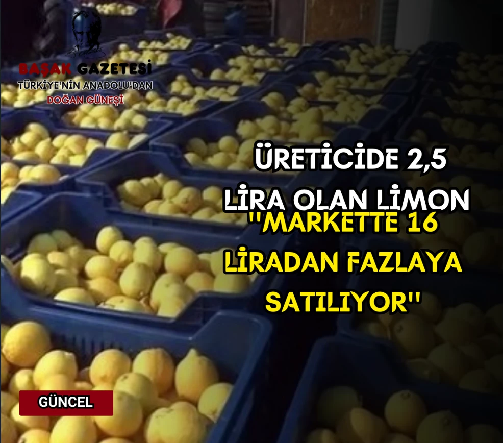 Üreticide 2,5 lira olan limon markette 16 liradan fazlaya satılıyor