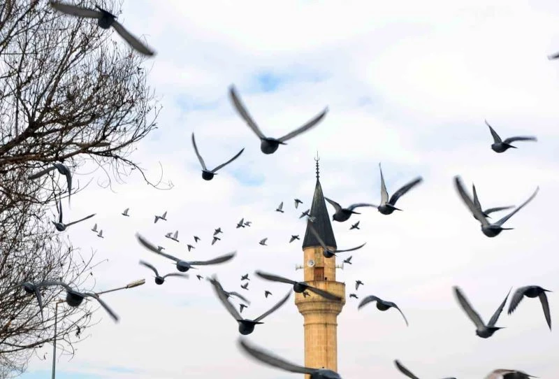 Erzurum’da bin 601 cami bulunuyor
