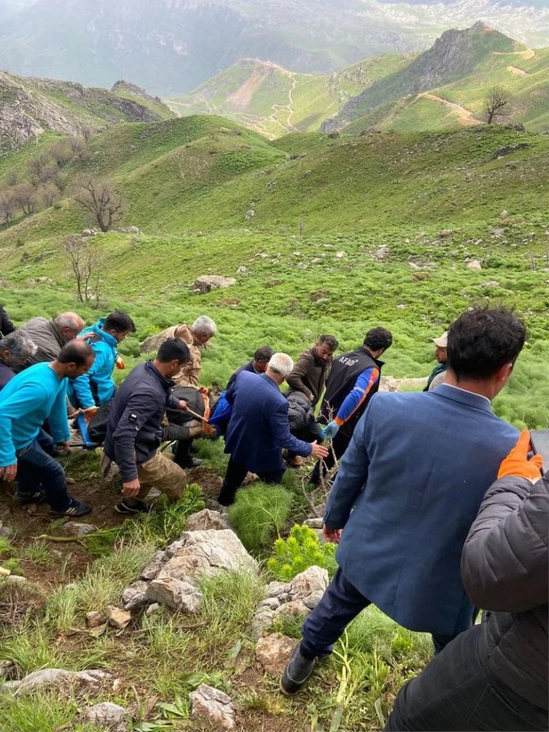 Siirt’te yaban bitkisi toplarken kayalıklardan düşen 60 yaşındaki adam öldü
