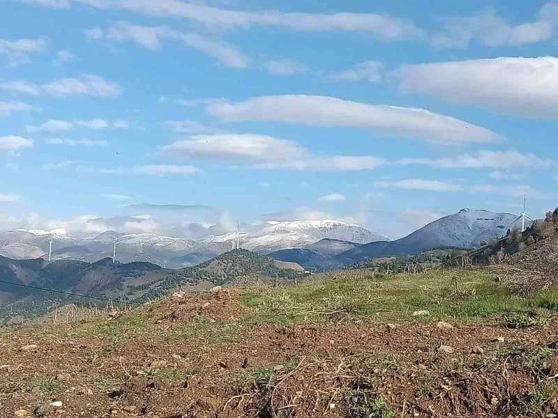 Sincik’e Mayıs ayında kar sürprizi
