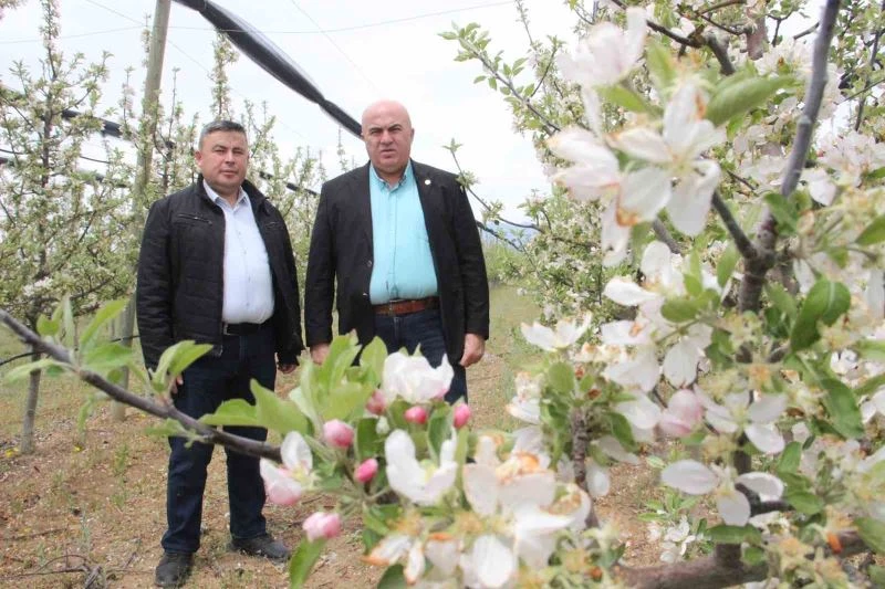 Karaman’da 12 milyon elma ağacı aynı anda çiçek açtı
