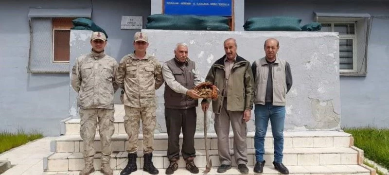 Elazığ’da salep soğanı toplayan 2 kişiye 220 bin lira para cezası
