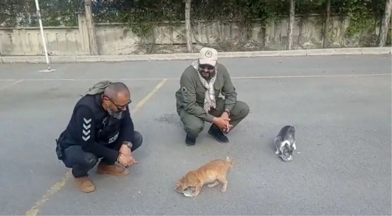Kayseri polisi, depremin merkez üssündeki hayvanlara şefkat eli uzatıyor
