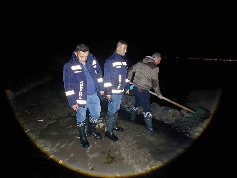 Van’da 2 ton inci kefali kurtarıldı
