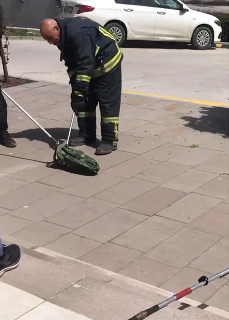 Yalova’da alışveriş merkezi önünde 1 metrelik yılan yakalandı
