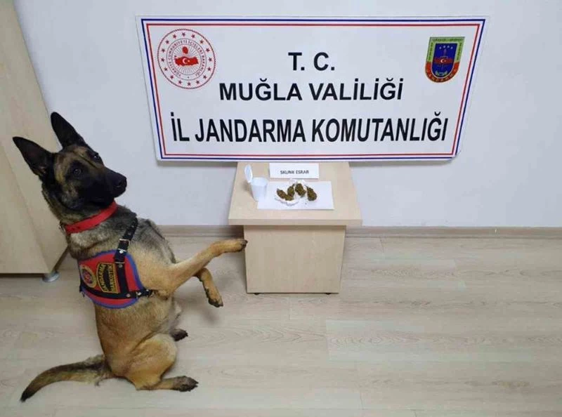 Jandarma 4 günde 147 operasyon yaptı
