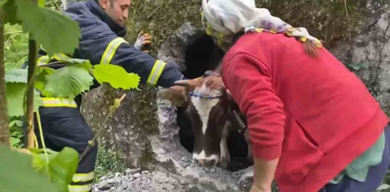 İtfaiyenin inek kurtarma operasyonu
