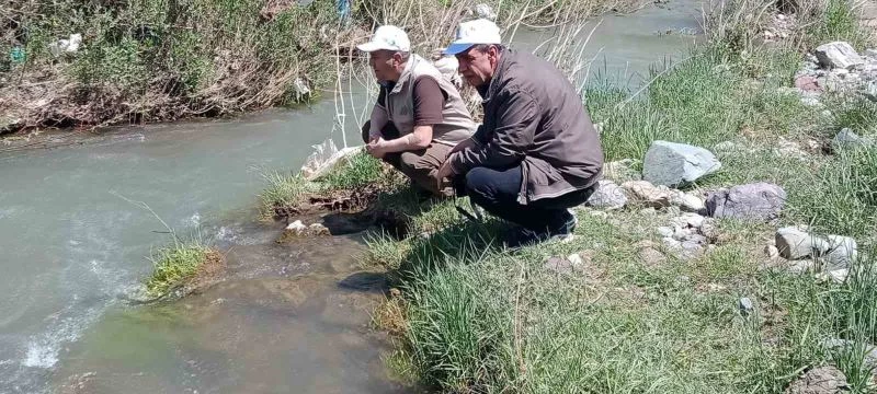 Elazığ’da Hazar İnci ve Siraz Balığı izleme  çalışması yapıldı
