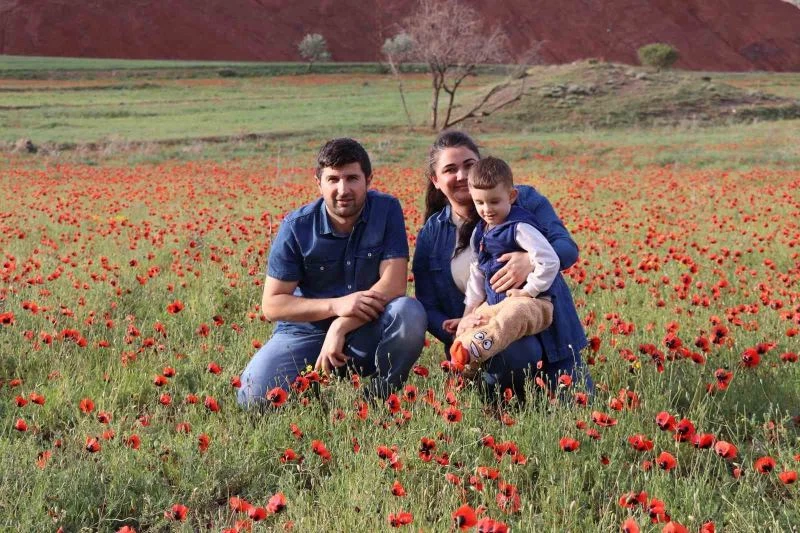 Oltu’da gelincik şöleni
