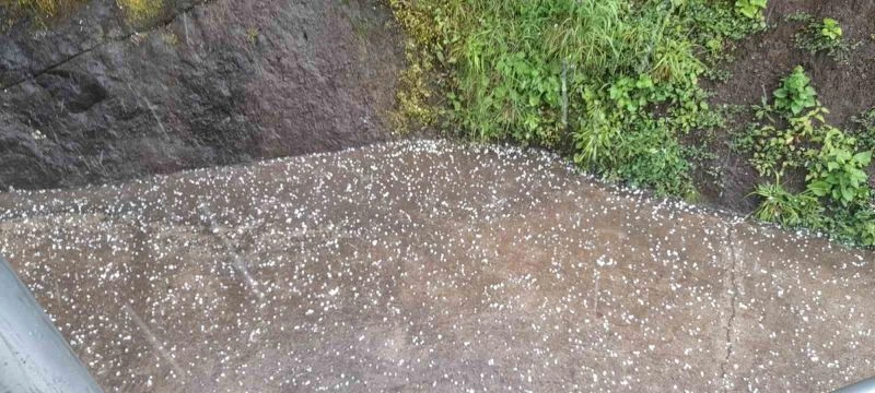 Trabzon’da dolu yağışı etkili oldu

