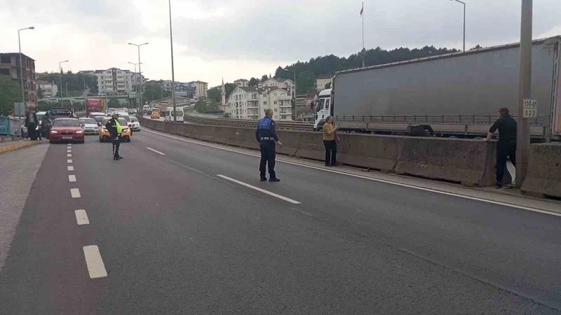 Beton bariyerlere sıkışan kedi için trafiği durdurdular: 