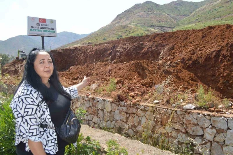 Hatıra Ormanı’nda dikilen fidanlar, toprağın altında kaldı
