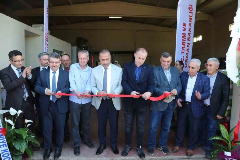 Yenişehir’de ayçiçek işleme tesisi hizmete açıldı

