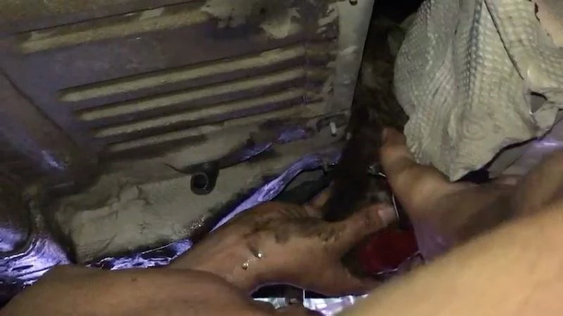 Otomobile giren yavru kediyi turizm çalışanları kurtardı
