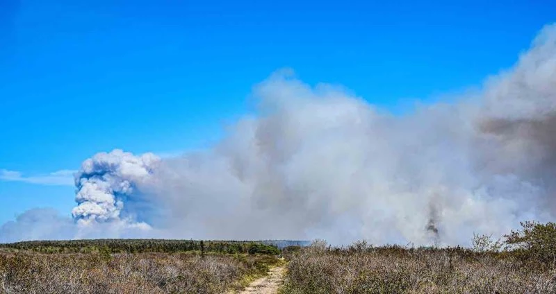 Kanada’da orman yangınlarının yaşandığı bölge tahliye ediliyor
